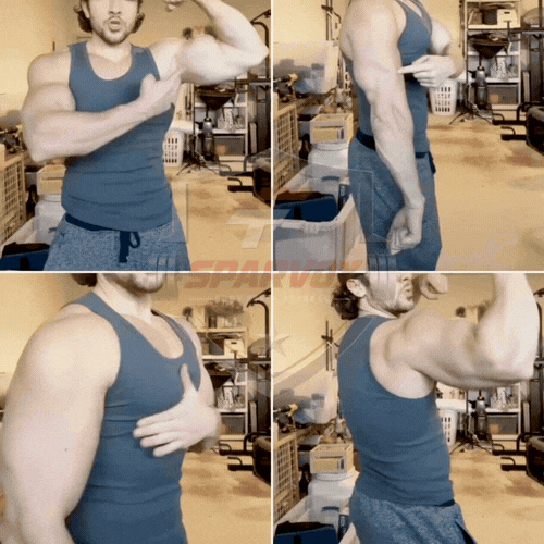 Not sure how to train?
<em> Just follow this structure</em>